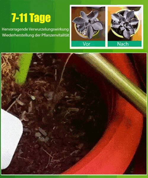 🌱 Cumpărați 1, primiți 2 gratuit! 💎 Activator lichid pentru plante - Întărește rădăcinile, 💕
