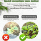 🌱 Cumpărați 1, primiți 2 gratuit! 💎 Activator lichid pentru plante - Întărește rădăcinile, 💕
