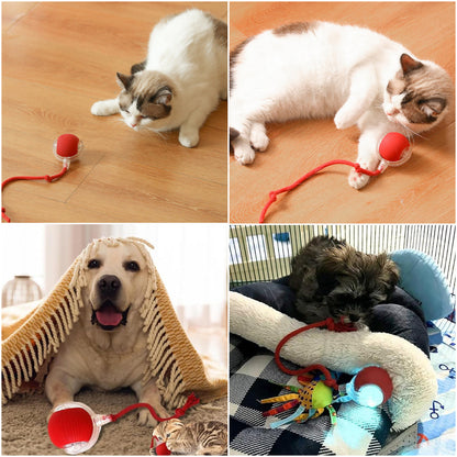 🐱🐶Smart automat de rulare Pet Ball