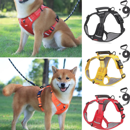 🐶Set ham și lesă pentru câine – reflectorizant, confortabil și reglabil, ideal pentru plimbări!