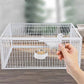 🐦Cușcă pentru păsări AutoTrap - numai intrare, fără ieșire, cu bază🕊️🌾2024 Produse noi