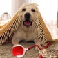 🐱🐶Smart automat de rulare Pet Ball