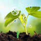 🌱 Batoane cu hrană pentru plante de lungă durată – NPK echilibrat pentru rădăcini, frunze și flori! 🌿✨