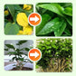 🌱 Batoane cu hrană pentru plante de lungă durată – NPK echilibrat pentru rădăcini, frunze și flori! 🌿✨