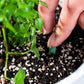 🌱 Batoane cu hrană pentru plante de lungă durată – NPK echilibrat pentru rădăcini, frunze și flori! 🌿✨