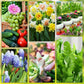 🌱 Batoane cu hrană pentru plante de lungă durată – NPK echilibrat pentru rădăcini, frunze și flori! 🌿✨