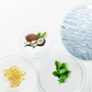 🐾🌿 Spumă deodorizantă delicată pe bază de plante pentru animale de companie – Eliminare rapidă a mirosurilor, sigură și fără clătire ✨🧼