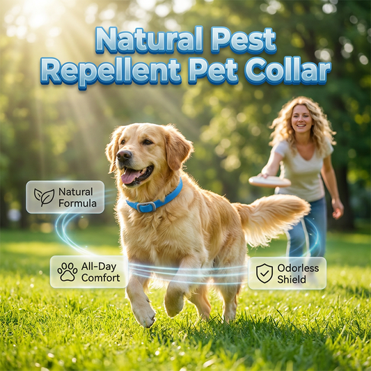 🐶🌿 Colier anti-insecte cu uleiuri esențiale