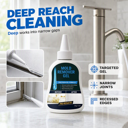 Heavy-Duty Mold Stain Cleaner Gel 