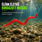 ⏰1 + 1 Ingyen!🎣Bionikus földigiliszta-utánzatú lágycsali