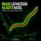 ⏰1 + 1 Ingyen!🎣Bionikus földigiliszta-utánzatú lágycsali